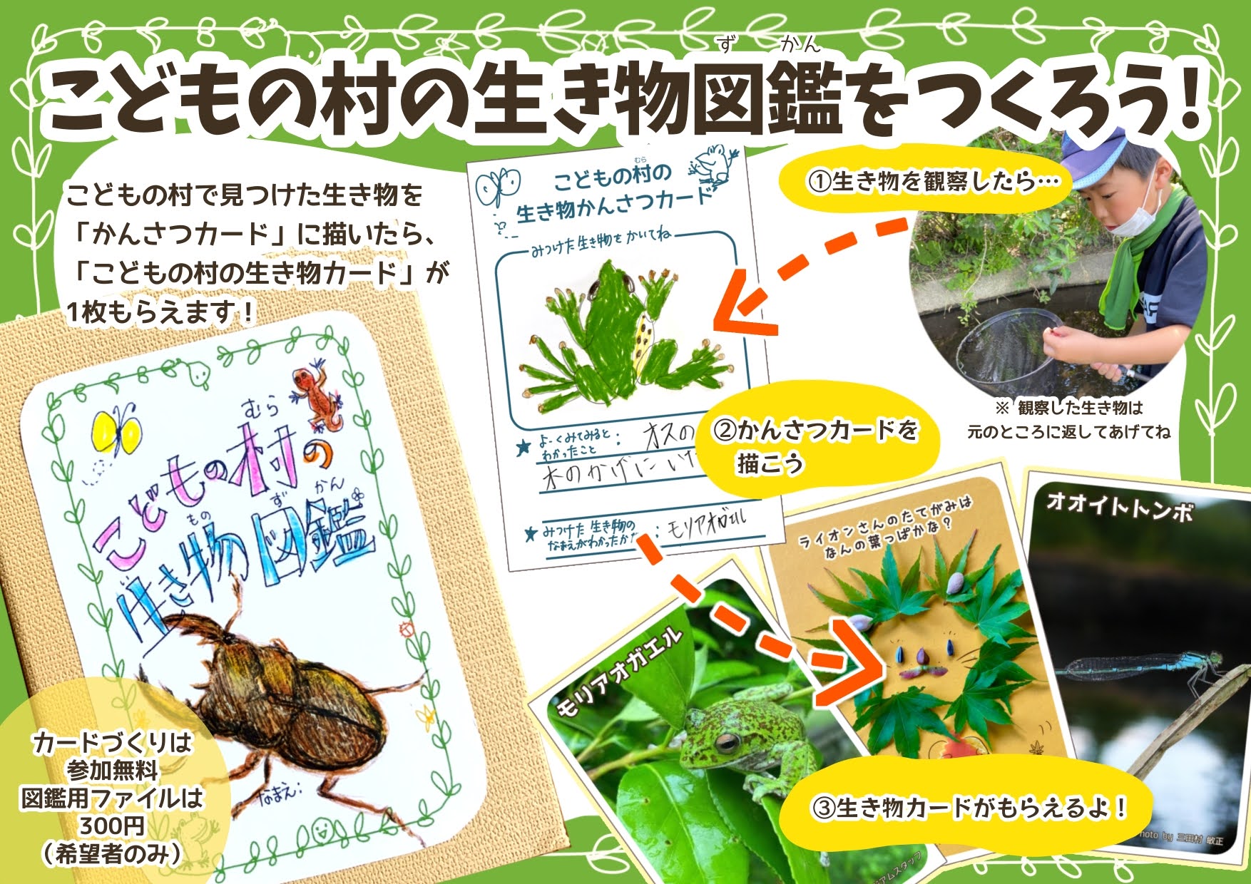 [常設]こどもの村の生き物図鑑をつくろう!!