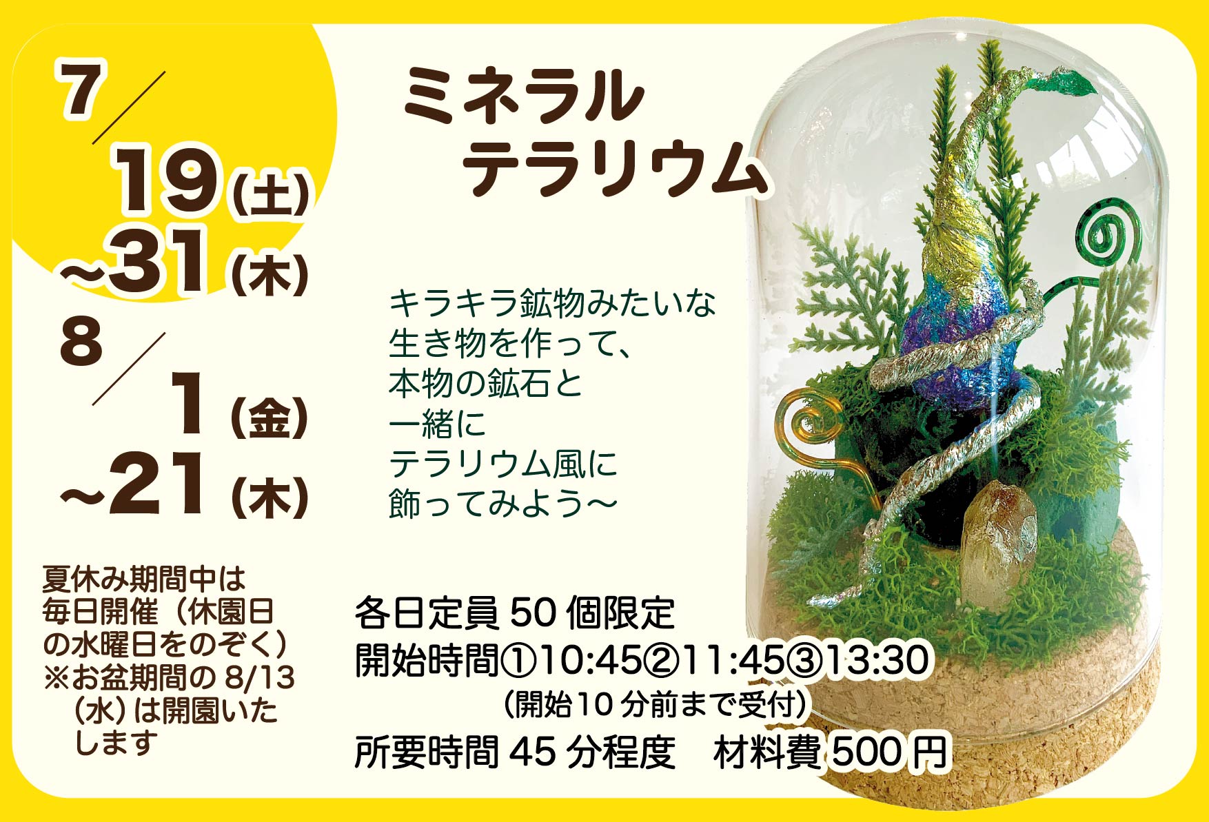 夏休みWS ミネラルテラリウム